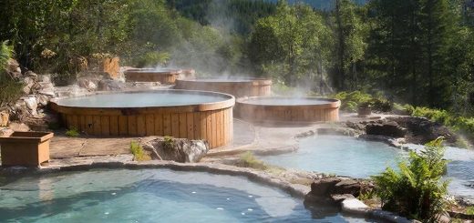 Почему Краснодарский край выбирают для отдыха?